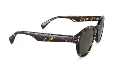 Full Acetate Sunglass Frame with Silver Decor